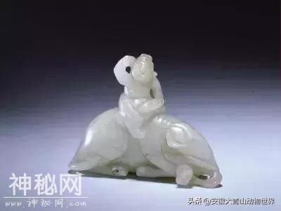 这些关于大象的小秘密你们知道吗？-6.jpg