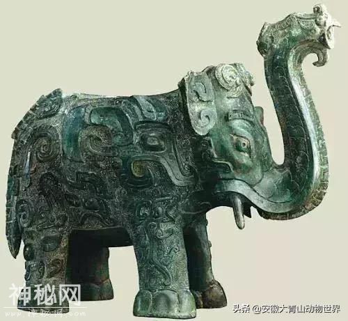 这些关于大象的小秘密你们知道吗？-5.jpg