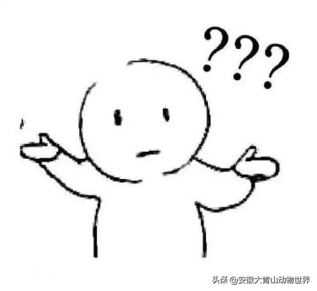 这些关于大象的小秘密你们知道吗？-2.jpg