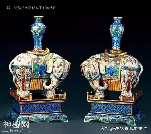 这些关于大象的小秘密你们知道吗？-7.jpg