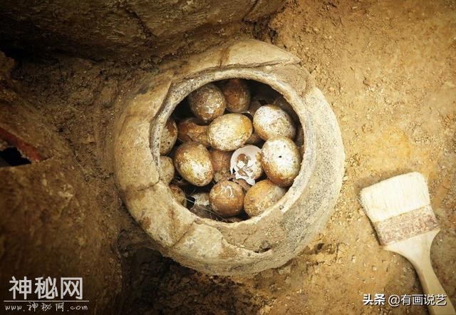 考古人员挖出一罐土鸡蛋，专家：至少2500年了，不敢触摸-2.jpg