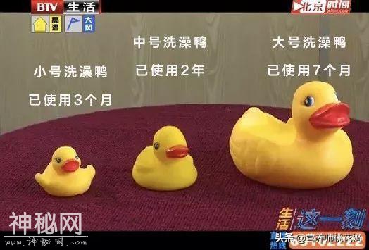 370万细菌陪娃洗澡 这种玩具家家都有十分危险-10.jpg