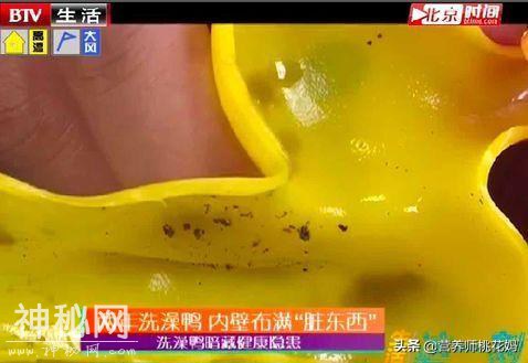 370万细菌陪娃洗澡 这种玩具家家都有十分危险-14.jpg