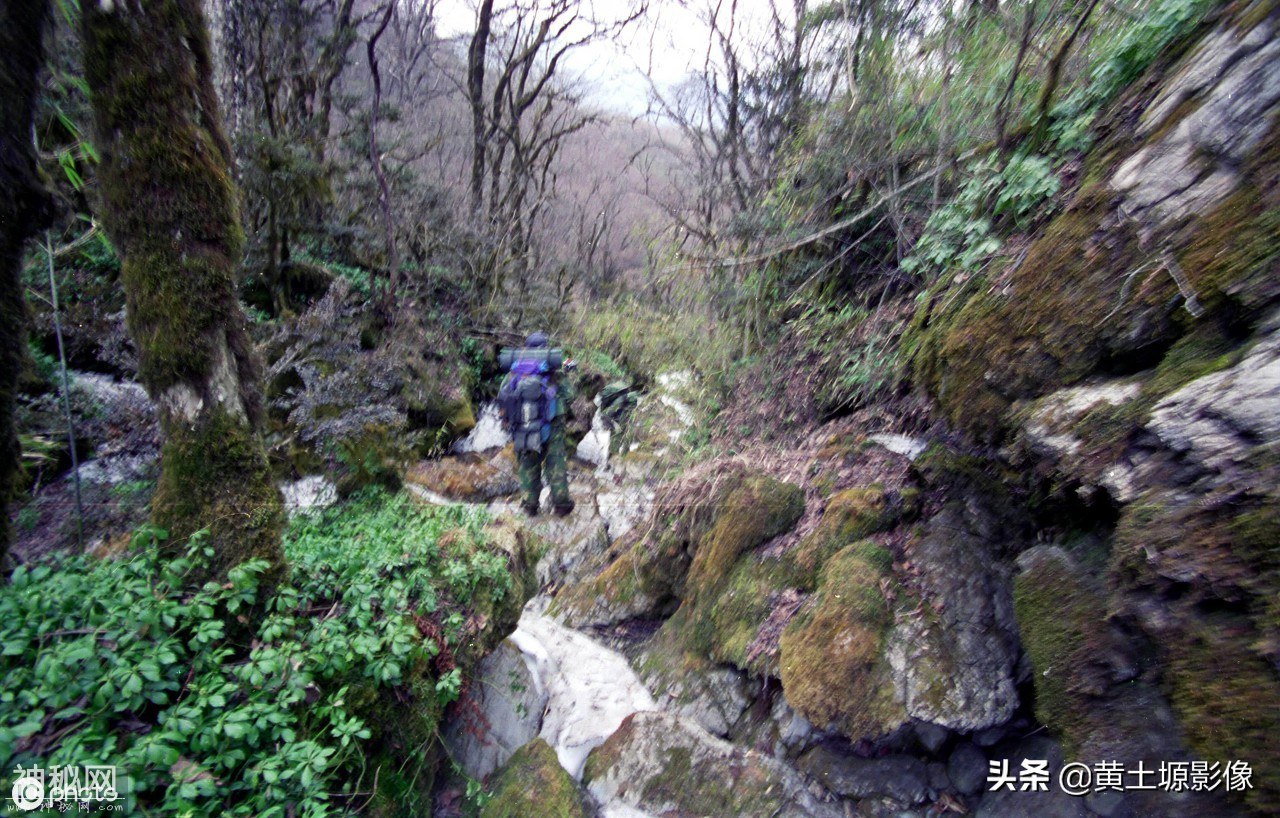 神农架有没有野人，他花去百万积蓄离婚三次寻找野人24年，啥结果-9.jpg