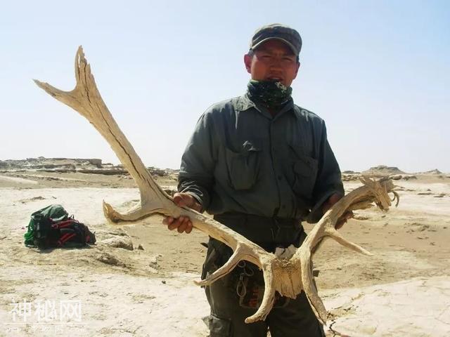 告诉你一个真实的死亡之海——罗布泊-3.jpg