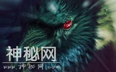 鬼故事：招魂乌鸦-1.jpg