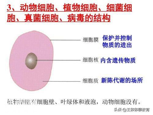用周围实物来学习生物，方便好记，初中生物汇总，赶紧学习吧-1.jpg