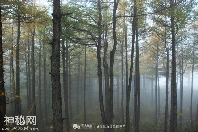 走进雾灵山，在绿水青山中休闲避暑、健康养生-7.jpg
