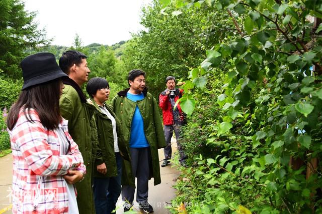 走进雾灵山，在绿水青山中休闲避暑、健康养生-8.jpg