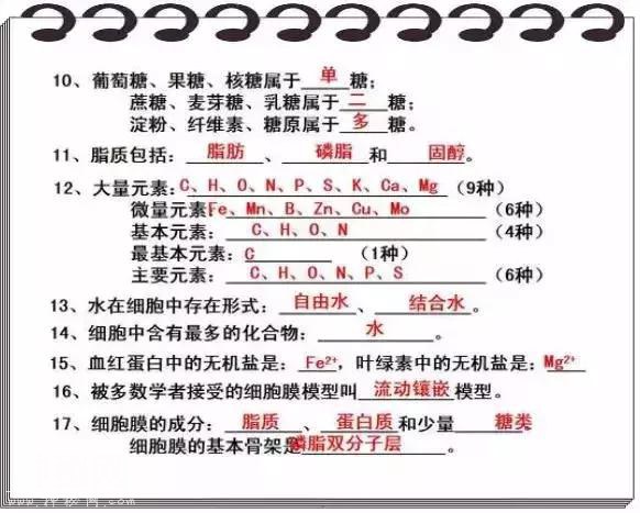 高中生物知识点大总结！25张图，三年重点知识全搞定-2.jpg