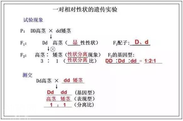 高中生物知识点大总结！25张图，三年重点知识全搞定-11.jpg