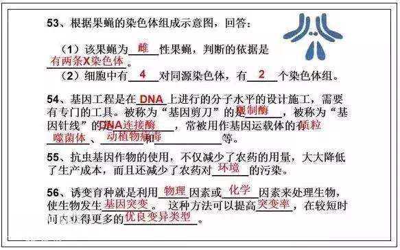 高中生物知识点大总结！25张图，三年重点知识全搞定-24.jpg
