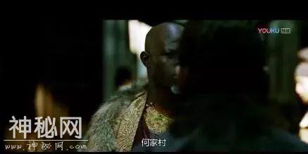 《长安十二时辰》里失落的“何家村”背后隐藏的动物密码-4.jpg