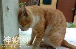 面壁思过表情包合集-6.jpg