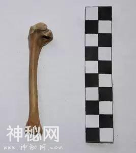 六年考古发掘：东华门遗址，成都历史文化名城的见证-10.jpg