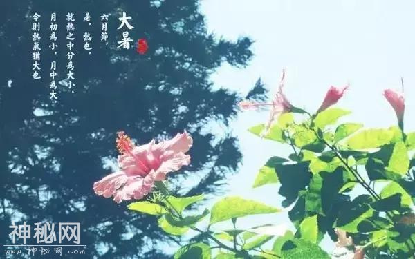 大暑，的习俗养生知识！-2.jpg