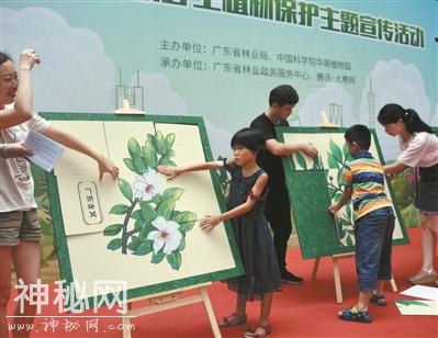广东又发现46个植物新种-1.jpg