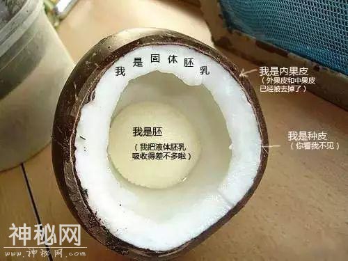 为了你的幸福，你知道细菌有多努力吗？-3.jpg