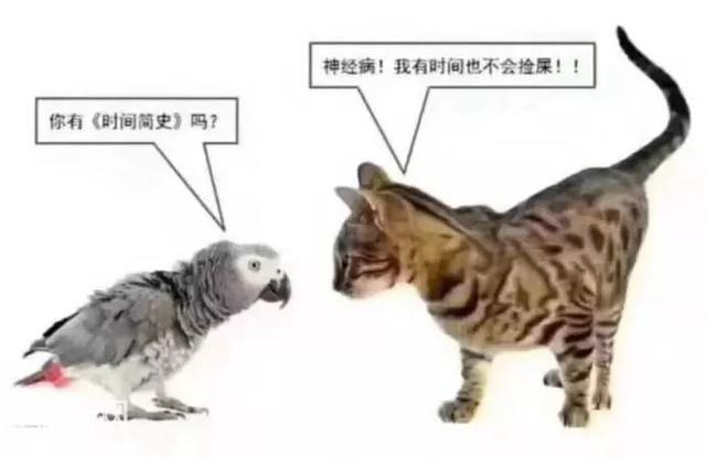 为了你的幸福，你知道细菌有多努力吗？-9.jpg