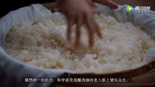 为了你的幸福，你知道细菌有多努力吗？-15.jpg
