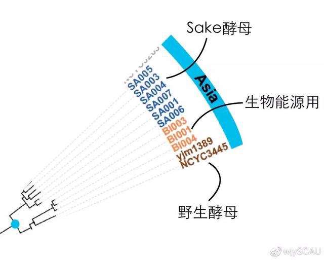 为了你的幸福，你知道细菌有多努力吗？-14.jpg