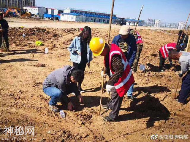 沈阳考古惊现38座清代古墓，出土文物460余件-3.jpg