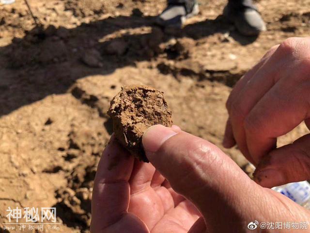 沈阳考古惊现38座清代古墓，出土文物460余件-4.jpg