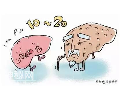 乙肝病毒潜藏多少年会变肝癌？-6.jpg