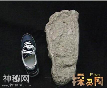 神龙架真的有野人吗，揭秘神农架野人之谜-5.jpg