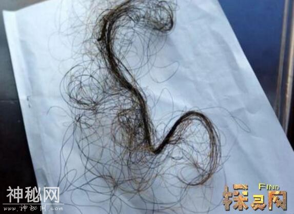 神龙架真的有野人吗，揭秘神农架野人之谜-4.jpg