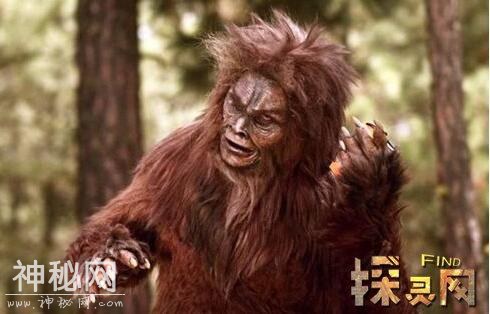 神龙架真的有野人吗，揭秘神农架野人之谜-7.jpg