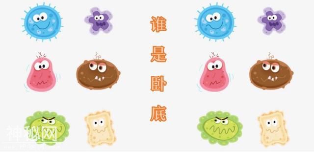 江西省科学技术馆暑期“科学小卫士之细菌大作战”活动报名开始啦！！-4.jpg