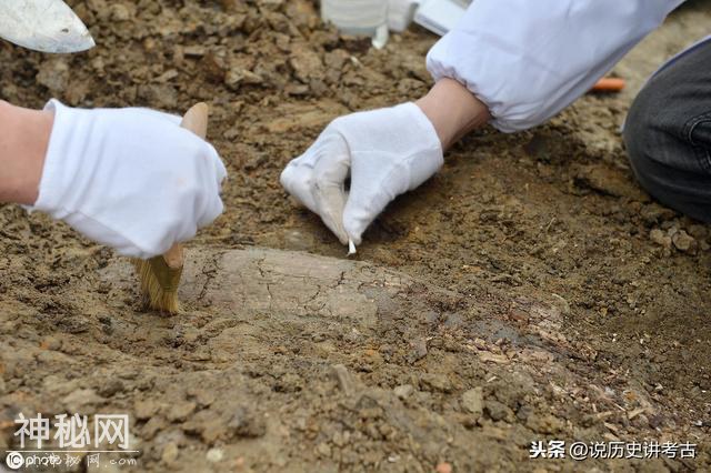 郭沫若是不是考古学家，考古学界也很难定义-4.jpg