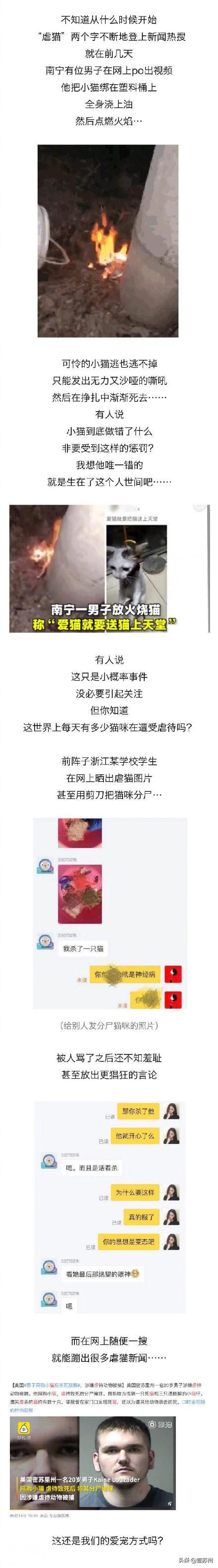 动物眼中的人类是什么样子的？-3.jpg