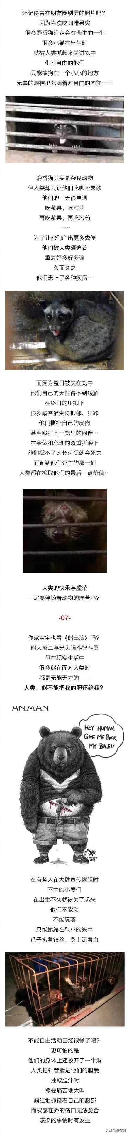 动物眼中的人类是什么样子的？-6.jpg