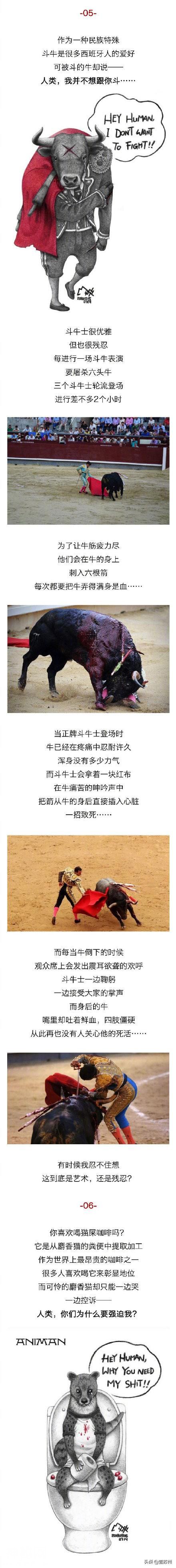 动物眼中的人类是什么样子的？-5.jpg