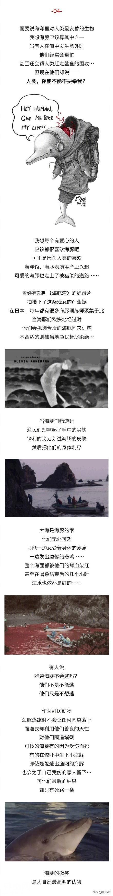 动物眼中的人类是什么样子的？-4.jpg