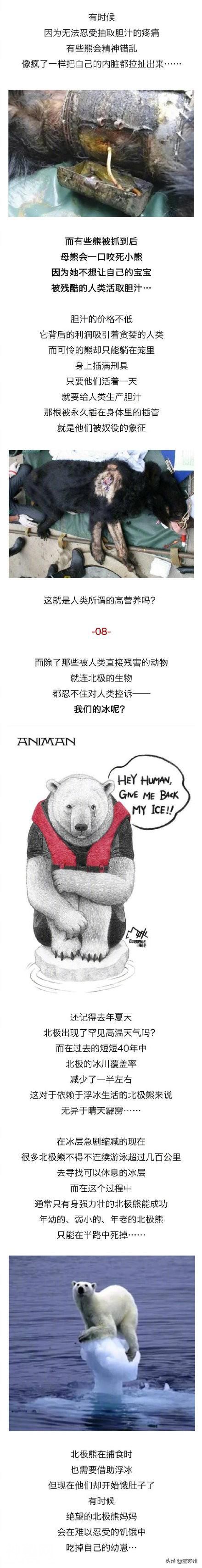 动物眼中的人类是什么样子的？-7.jpg