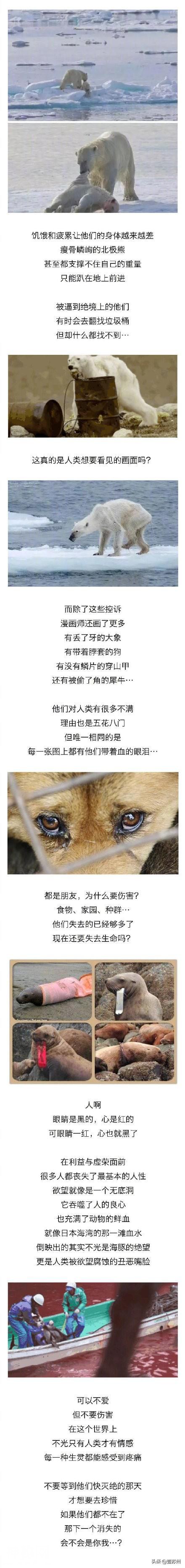 动物眼中的人类是什么样子的？-8.jpg