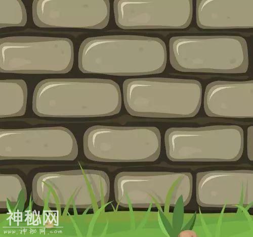 【科普】诺如病毒家庭消毒指南来了!-7.jpg