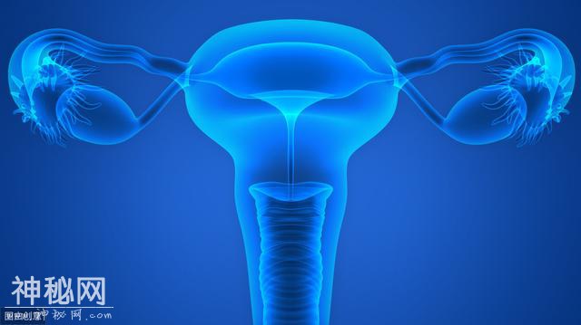 女性死亡率最高的恶性疾病，怎么早期发现？-2.jpg