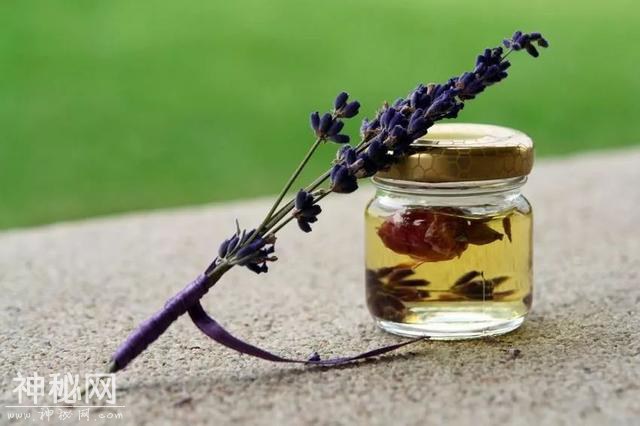 星球 · 景点 | 带你走进英国梦幻的薰衣草花田-19.jpg