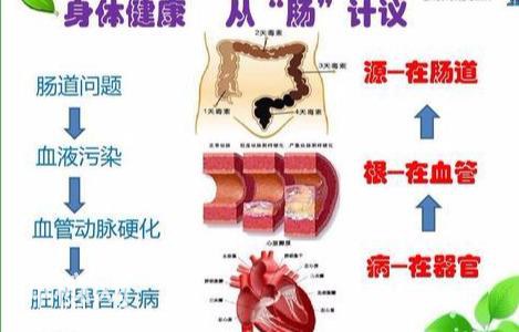 越来越多的研究表明，我们肠道中的细菌是健康衰老的关键-3.jpg