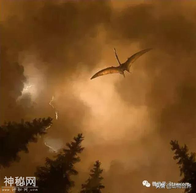 谁是陆地上的“最长脸”-哈特兹哥翼龙-3.jpg
