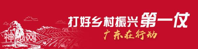 “三清三拆”怎么搞？广东乡镇干部总结出经验：“政府不包办，难度小一半！”-1.jpg