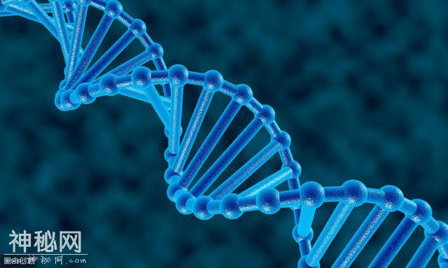 高中生物实验知识点总结，都是重点，赶紧拿小本本记好-2.jpg
