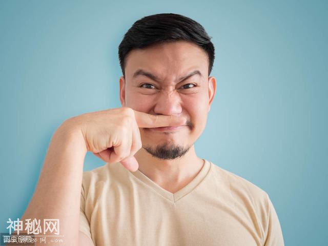 大便符合这4个特点，先说声恭喜：身体很健康-5.jpg