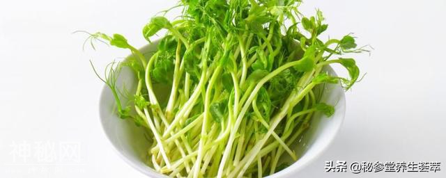 三伏天天气实在热 大热天该如何保健-3.jpg