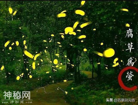 营养师：健康养生无需“苦夏”-2.jpg