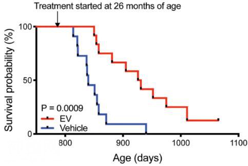 火爆科技学术圈的“长生不老药”背后，我们离返老还童还有多远？-3.jpg